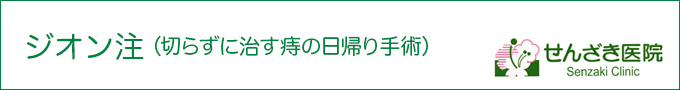 ジオン注（痔の日帰り手術）